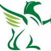 Griffin Chartered Accountants