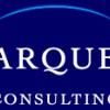 Arque Consulting