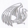 Griffin Accountants