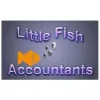 Little Fish Accountants