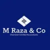 M Raza & Co