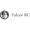 Falcor Accountancy Services