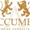 Accumen Business Consultancy