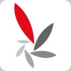 Enterprise Accountancy