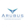 Arubus Accountants